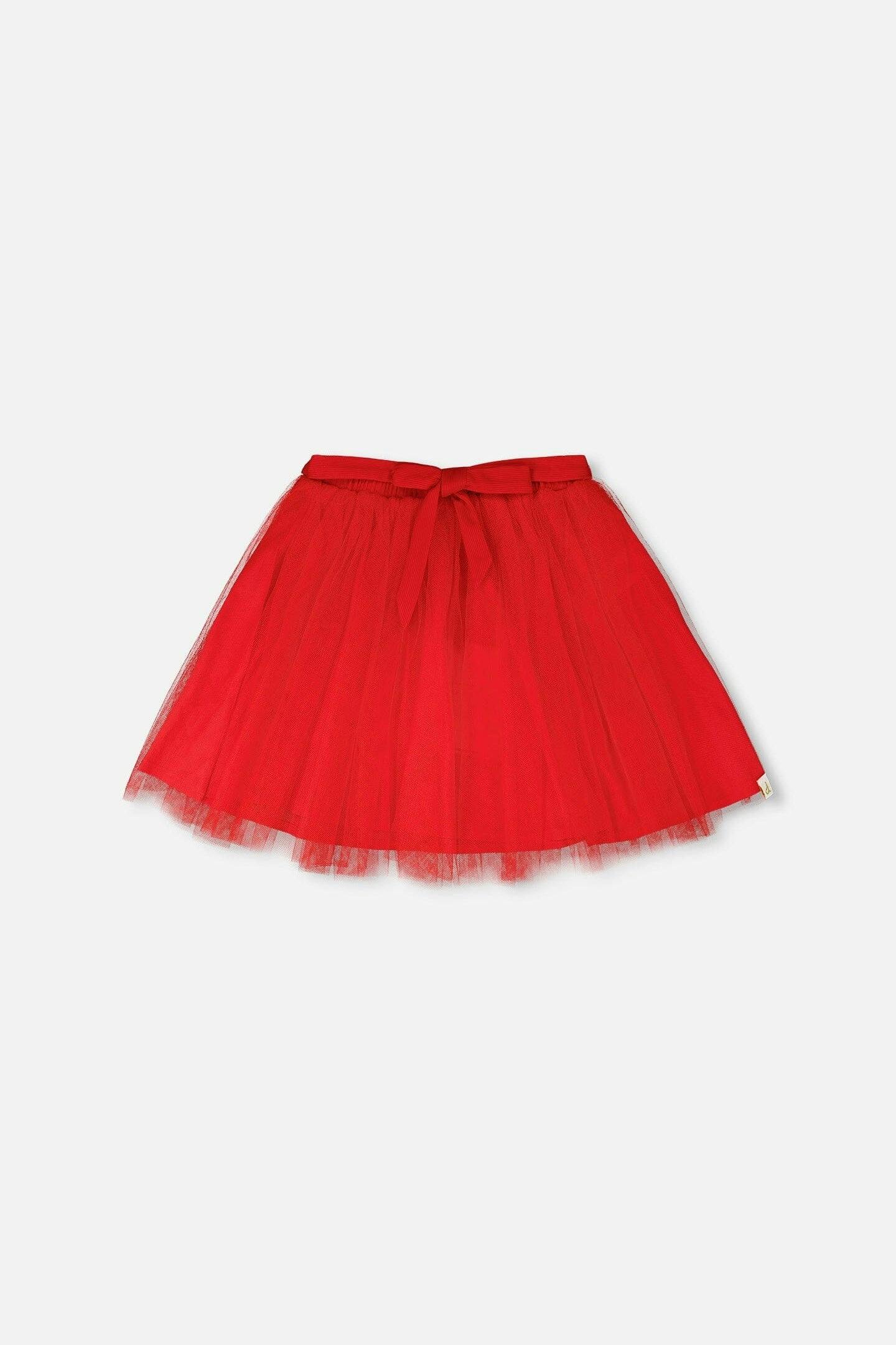 Mesh And Eyelet Skirt