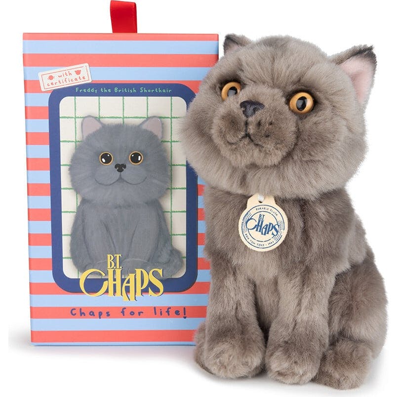 BT CHAPS FREDDY THE BRITISH SHORTHAIR FLOPPY in Giftbox 6.5"