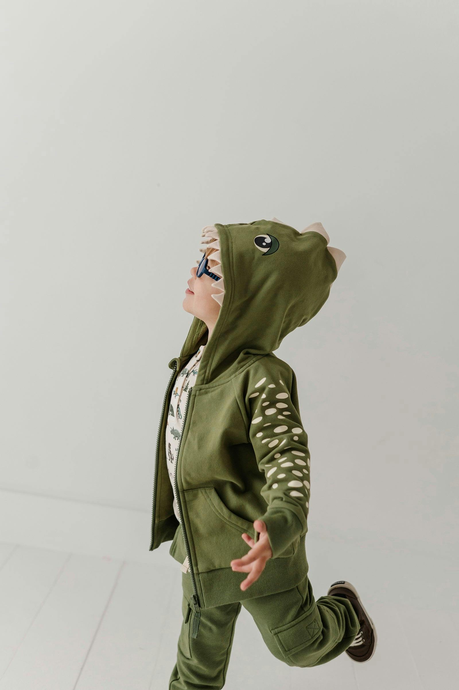 Boys Hooded Jacket in Dinosaur