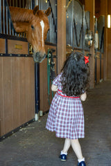 Plaid Dress with Neck Ruffle