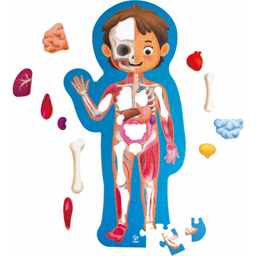 Human Body Jigsaw Puzzle
