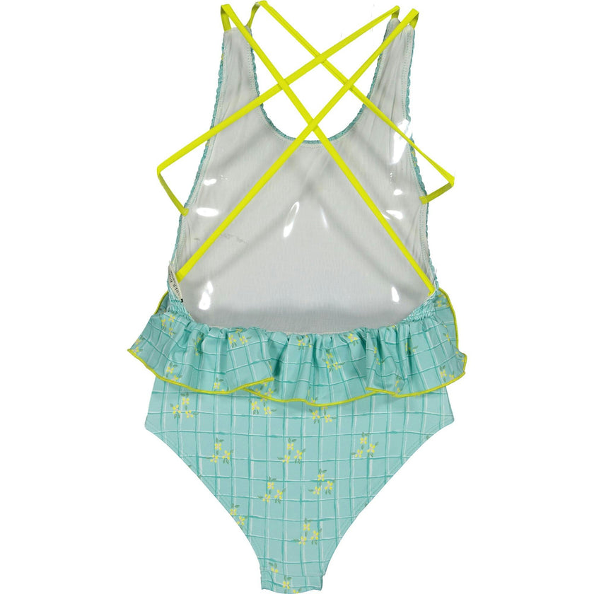 Water garden smocked swimsuit