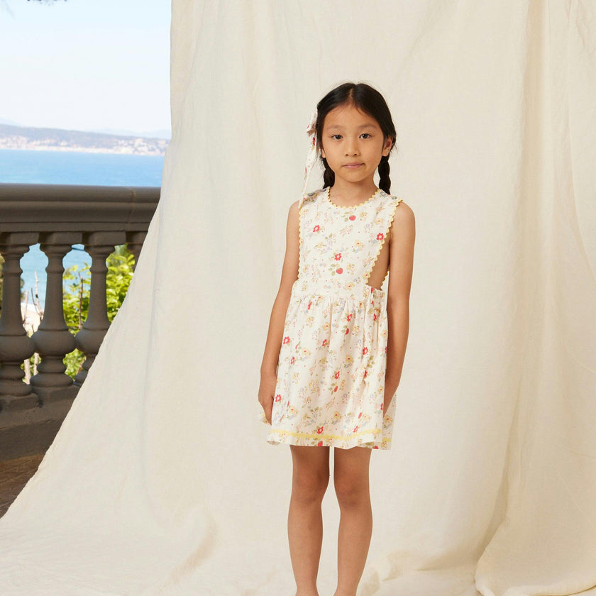 Annice Apron Dress