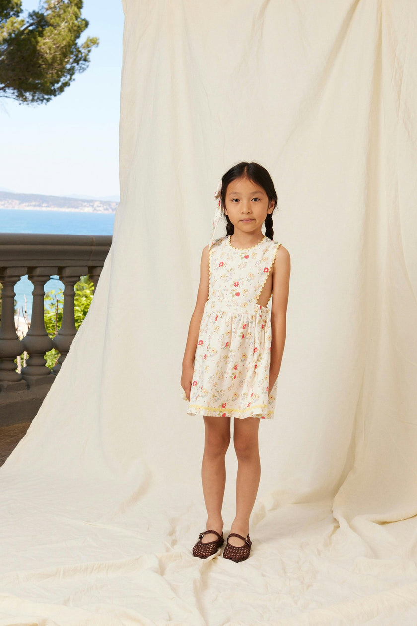 Annice Apron Dress