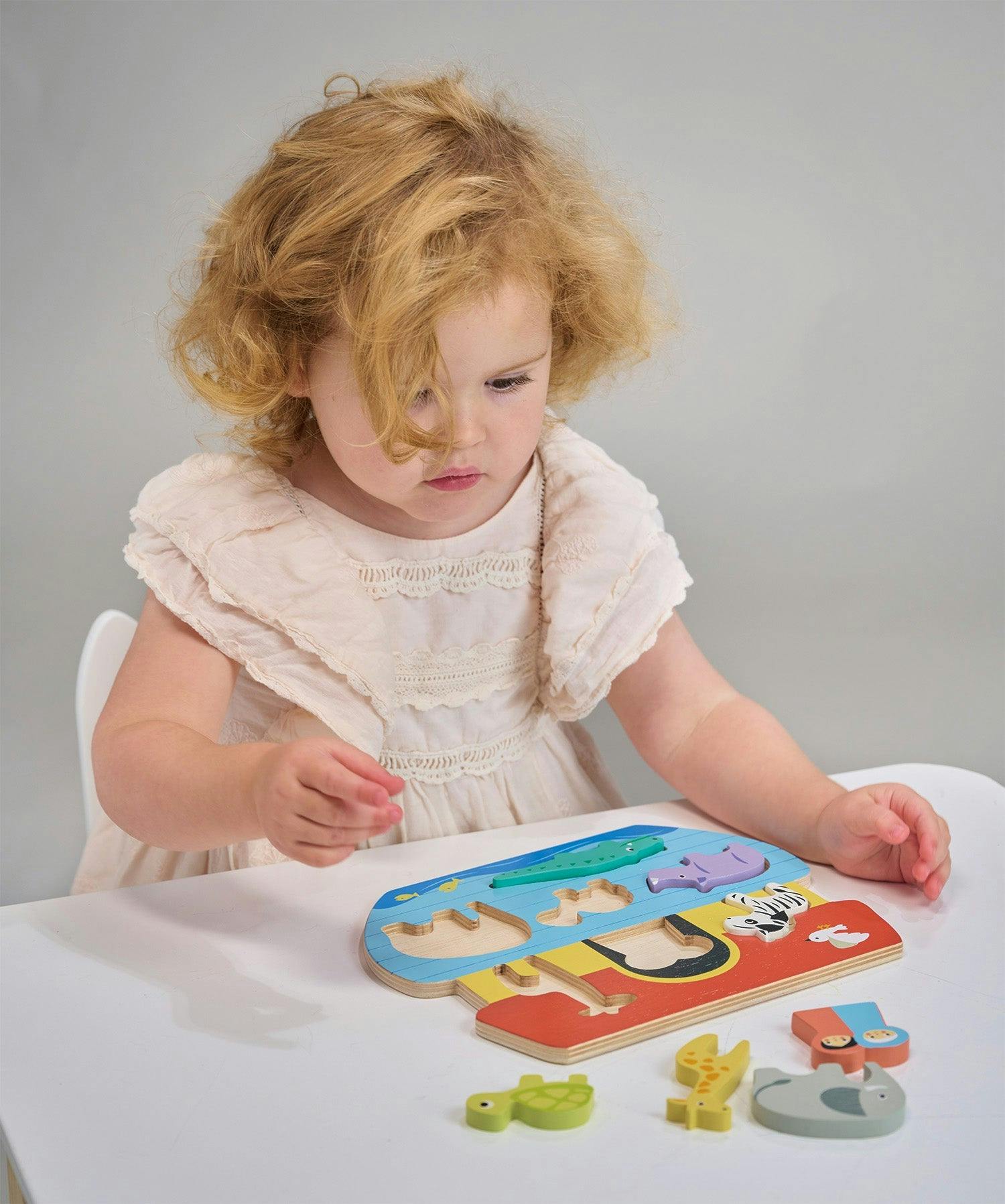 Shape Sorting Ark Tray