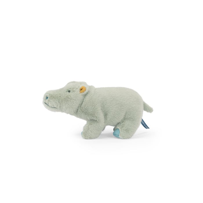 Small Hippopotamus - All Around The World