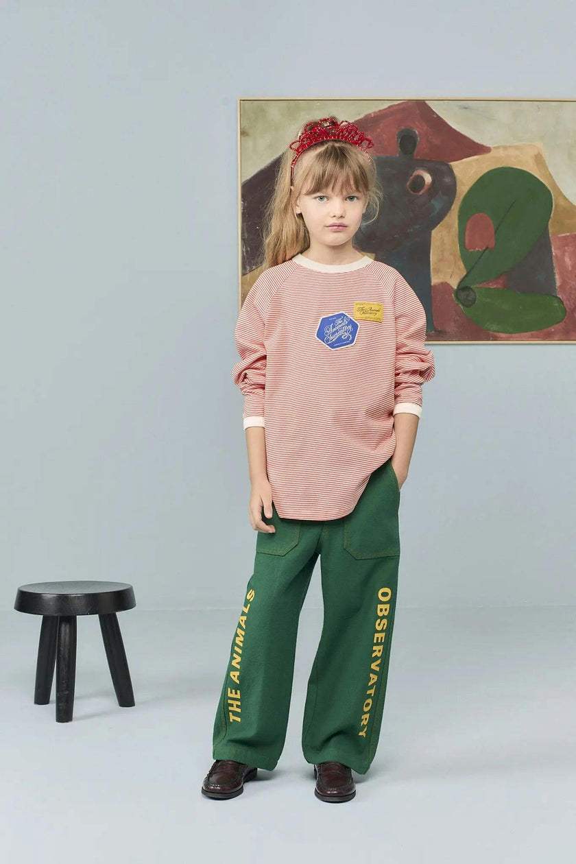 Striped Anteater Long Sleeve T-shirt
