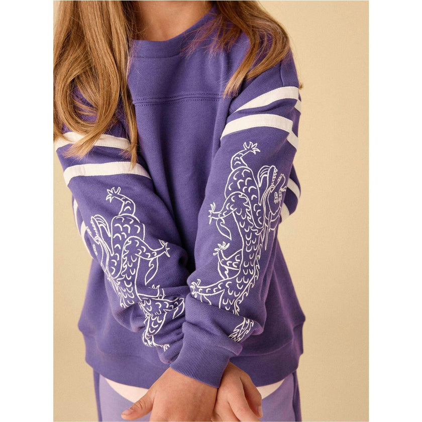 Sporty Sleeve Popover, Purple