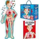 Travel, Learn & Explore: HUMAN BODY