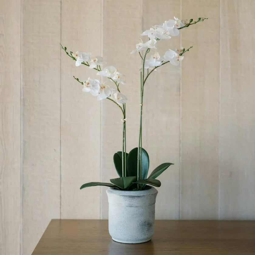 Artificial 2-Stem Phalaenopsis White Orchid