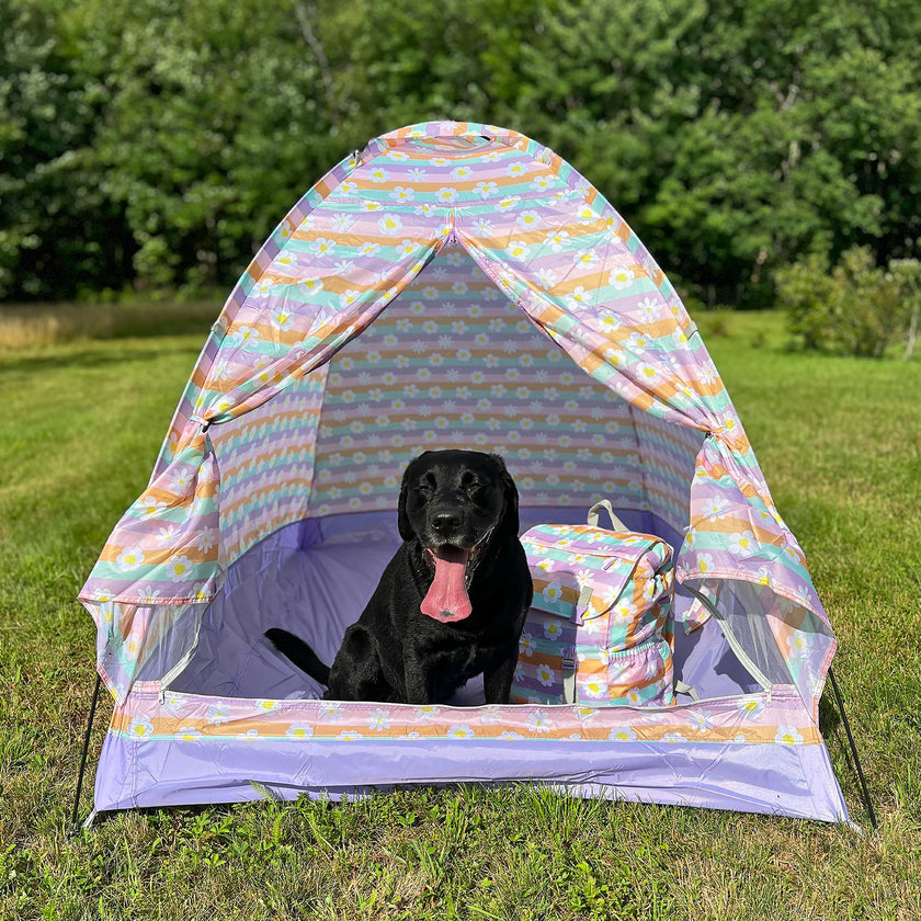 Indoor/Outdoor Camping Play Tent - Happy Daisy Stripes