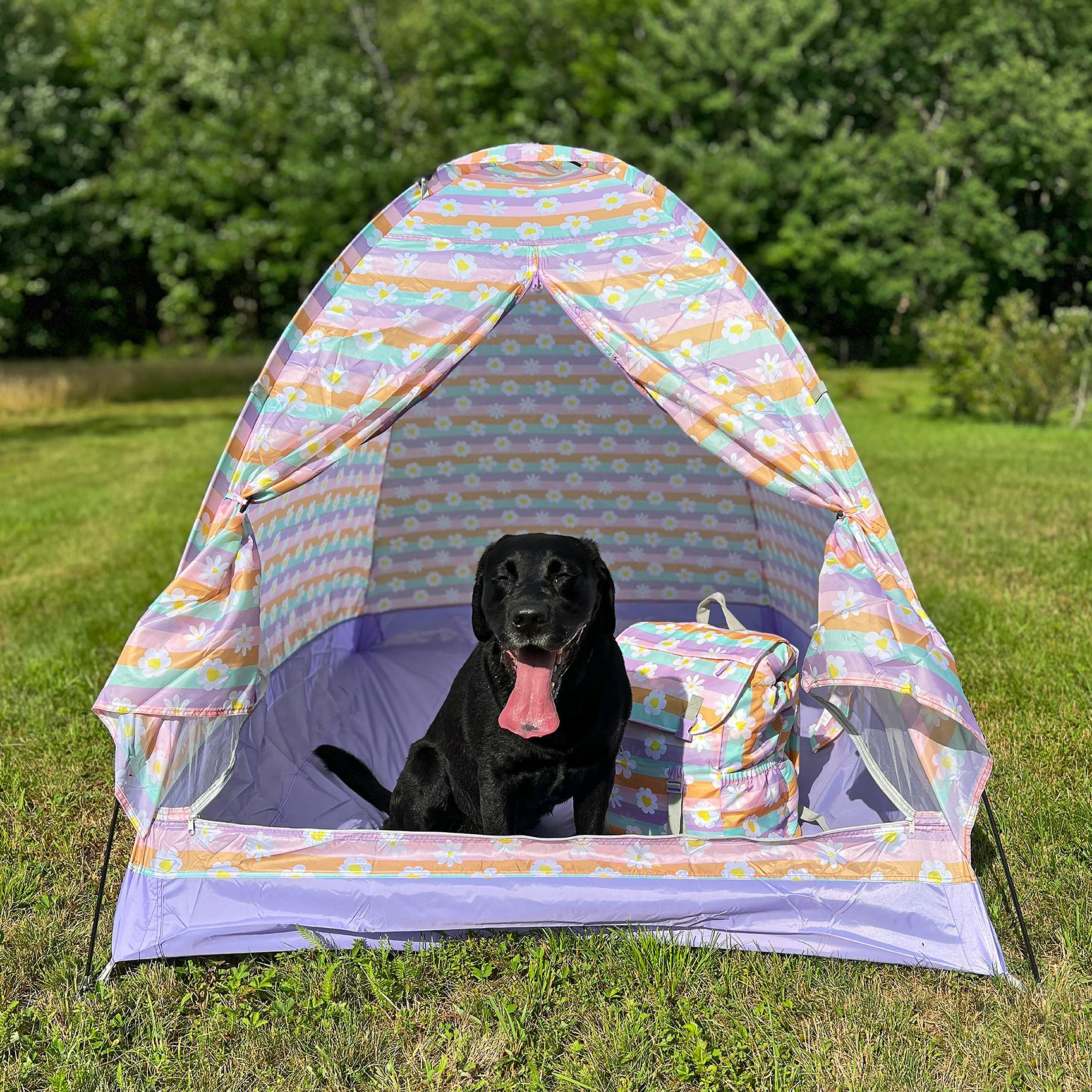 Indoor/Outdoor Camping Play Tent - Happy Daisy Stripes