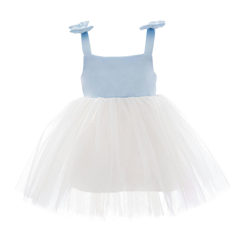 Light Blue Bodice Dress with White Tulle Skirt