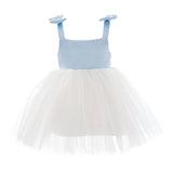 Light Blue Bodice Dress with White Tulle Skirt