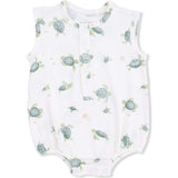 Sea Turtles - Henley Bubble