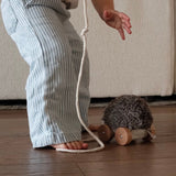 Hedgie