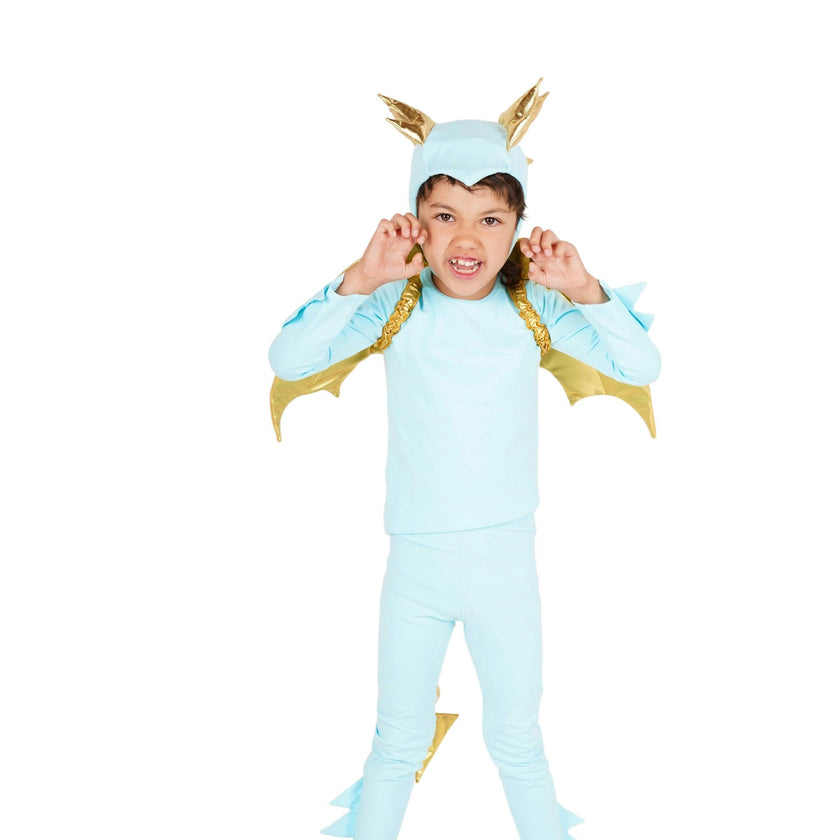 Sky Blue Dragon Costume