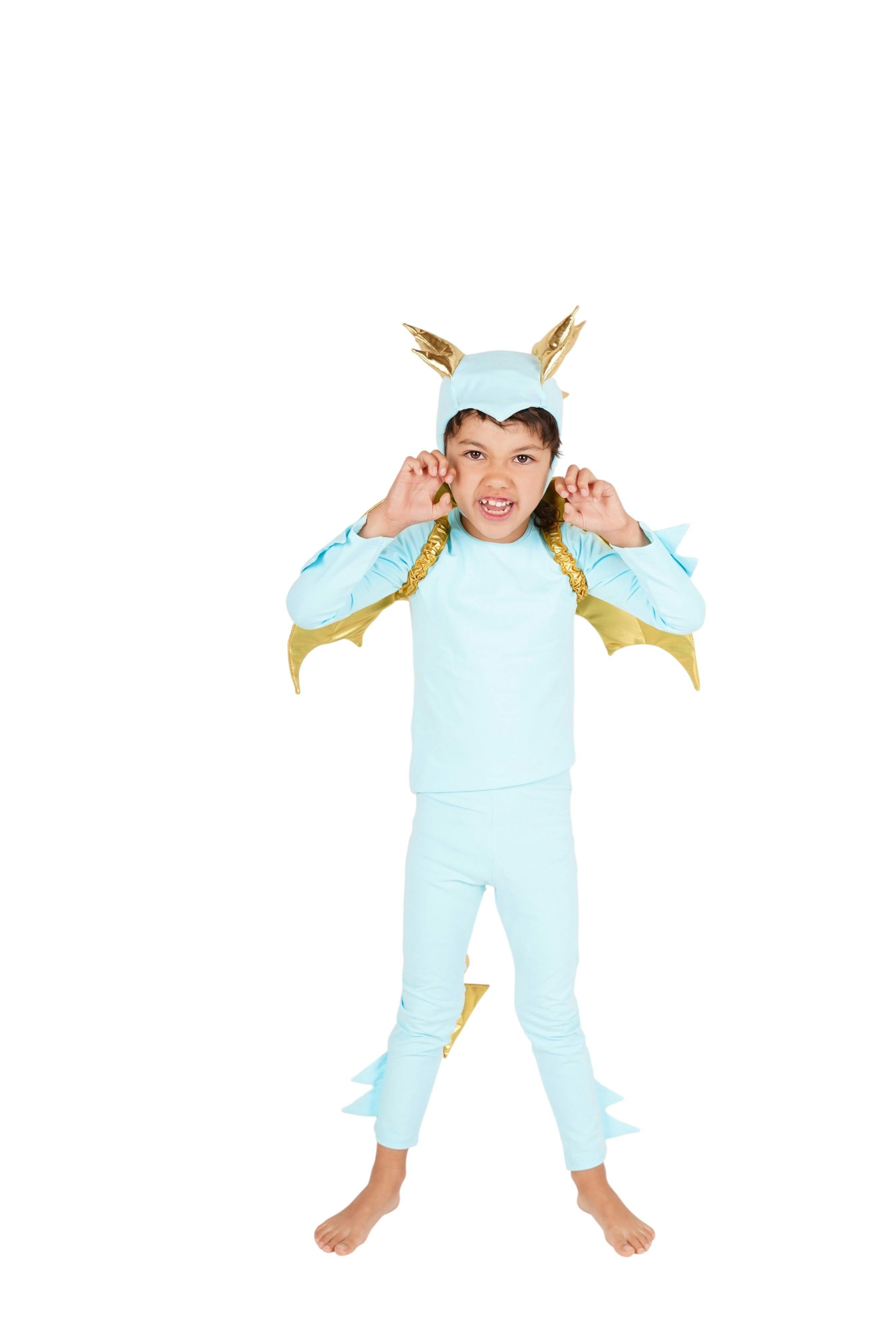 Sky Blue Dragon Costume