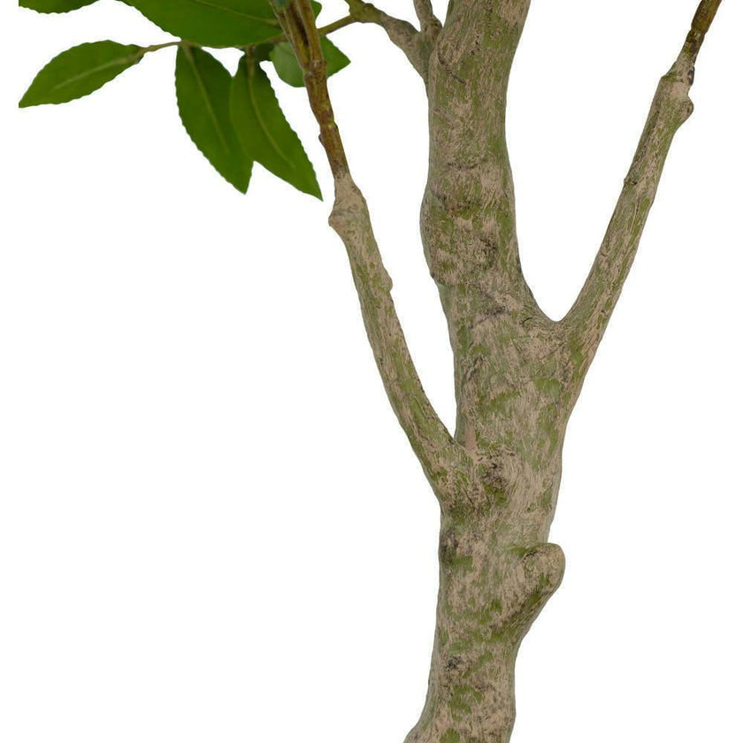 7' Faux Potted Laurel Tree