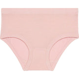 Watercolor Butterfly Girls' Brief Set