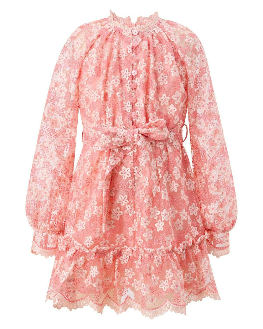 Julia Embroidered Mini Dress