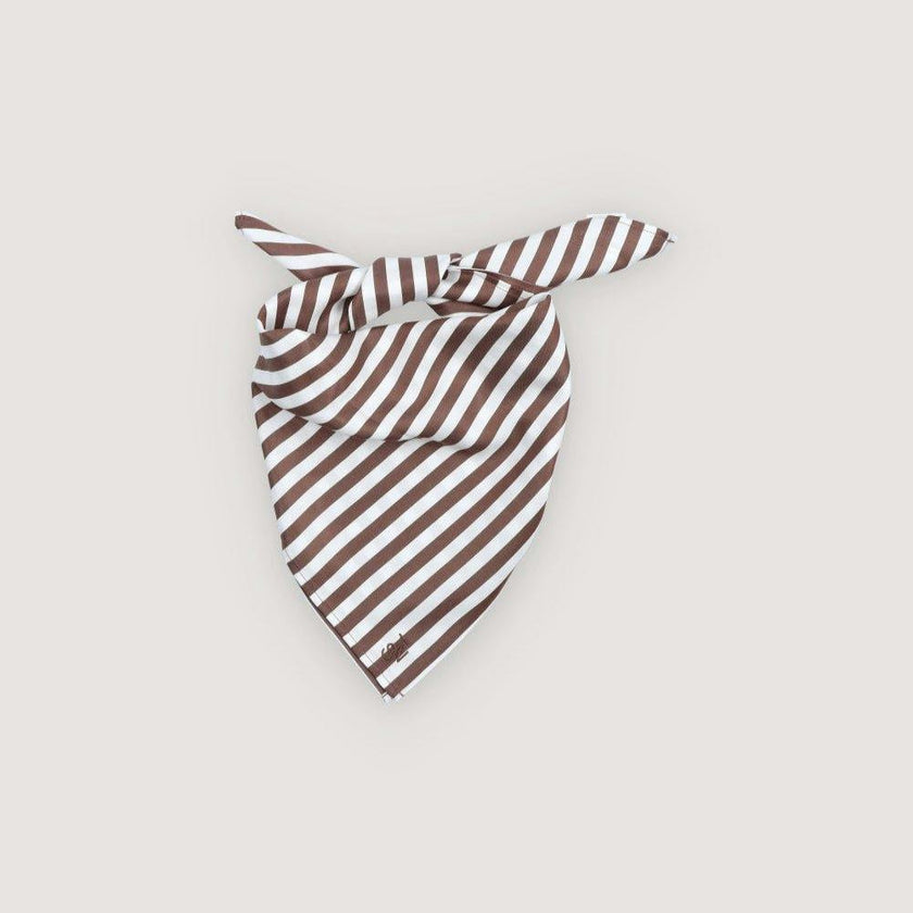 Anika Woman Neck Scarf Roast Stripes