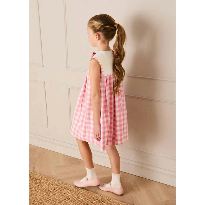 Catherine Gingham Embroidered Sleeveless Trapeze Dress in Pink (12mths- 10yrs)