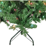 5-Foot Pre-Lit Multi-Color Incandescent Jackson Pine Tree