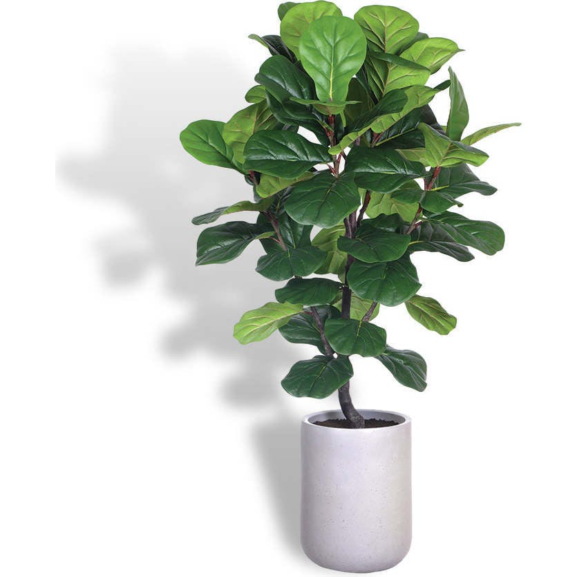 Artificial Fiddle Leaf Fig Tree with Artisan Planter