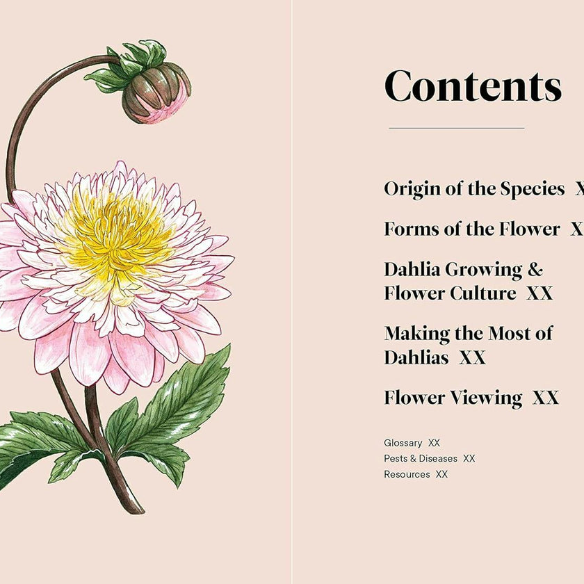 Little Book of Dahlias