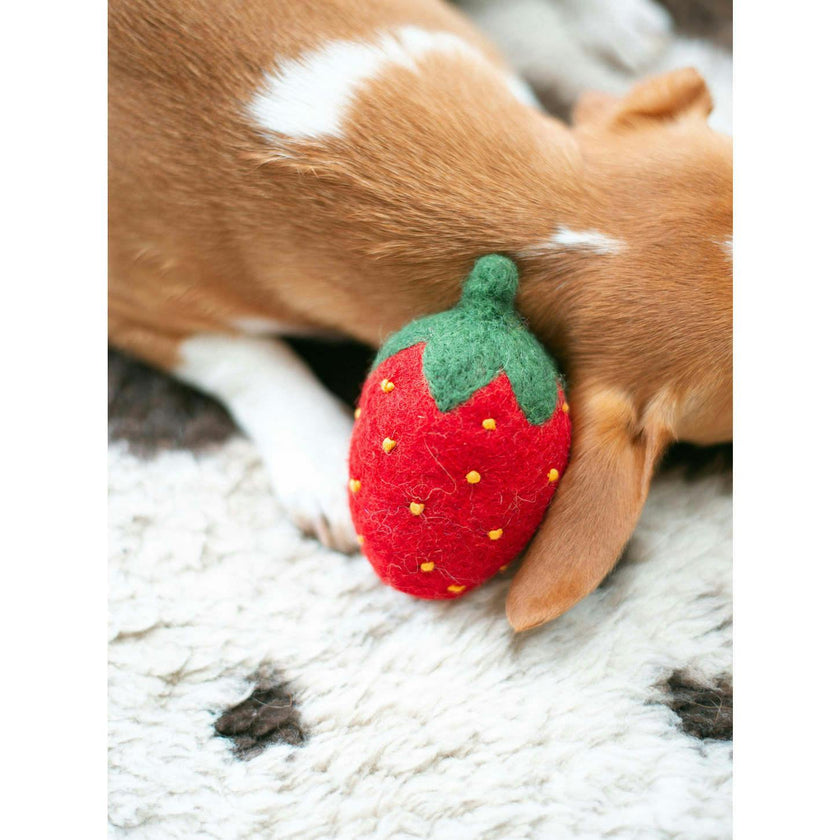WOOL DOGGY STRAWBERRY
