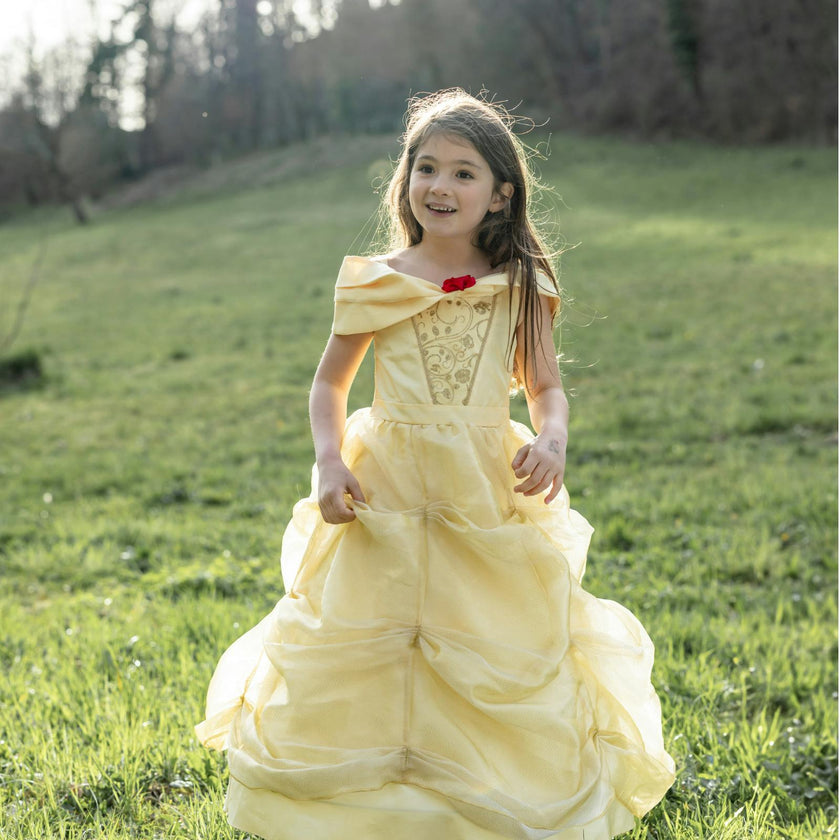 Once Upon a Princess Beauty Dress