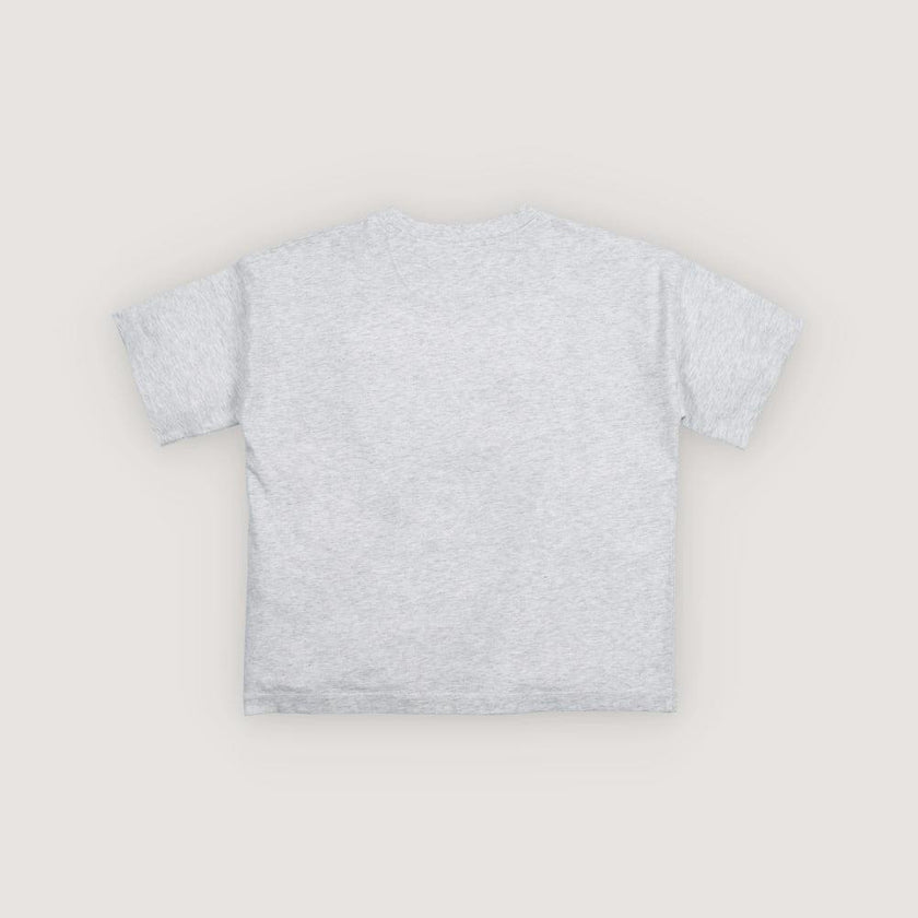 TNS Logo T-Shirt Light Grey Melange