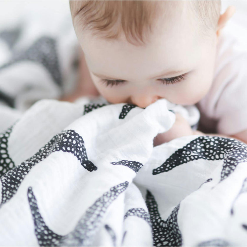 XL Starfish Print Muslin Multi-Purpose Square Blanket