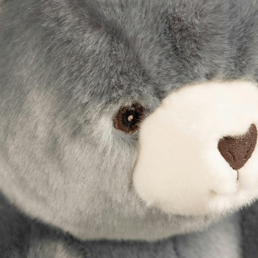 Robert the Bear | Blue-Grey | Chevron Print