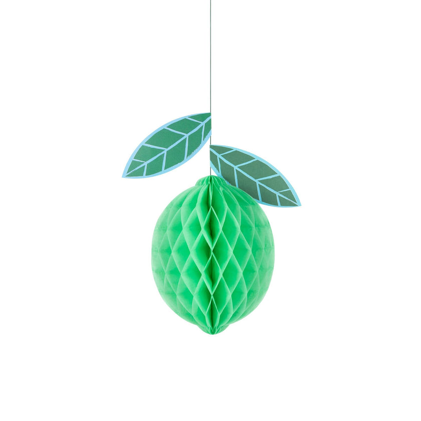 Tropical Fruit Honeycomb Decorations