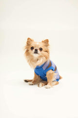 dog sweater - kopenhagen stripes