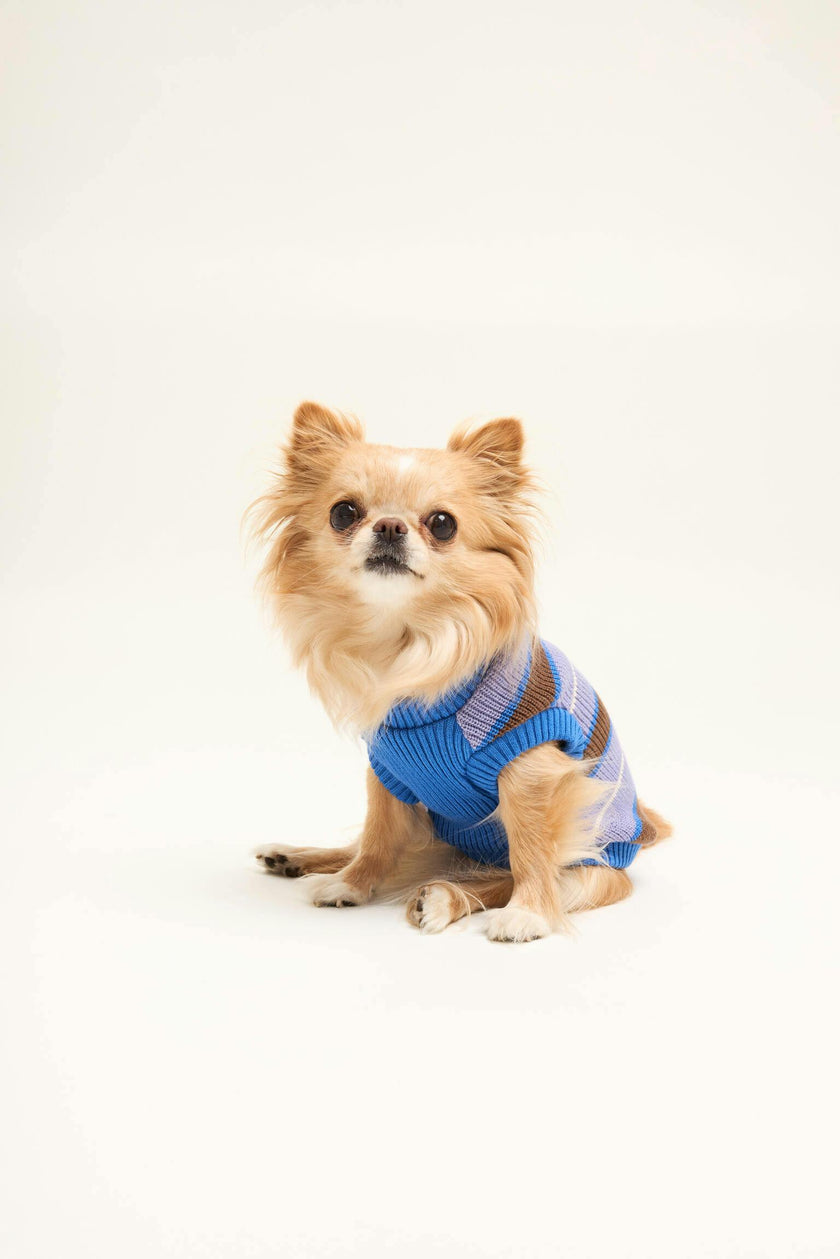 dog sweater - kopenhagen stripes