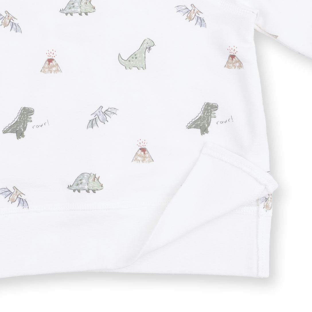 Dinos - Raglan Sweatshirt