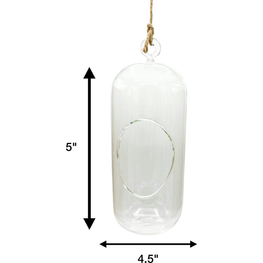 Glass Terrarium: Carefree Capsule