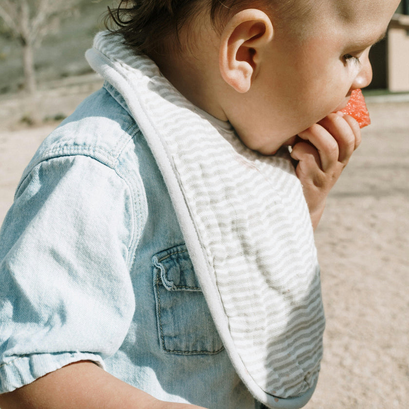 Organic Cotton Muslin Classic Bib 3 Pack - Swallows