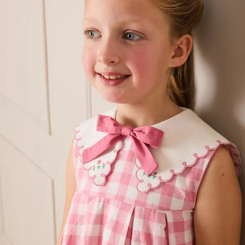 Catherine Gingham Embroidered Sleeveless Trapeze Dress in Pink (12mths- 10yrs)