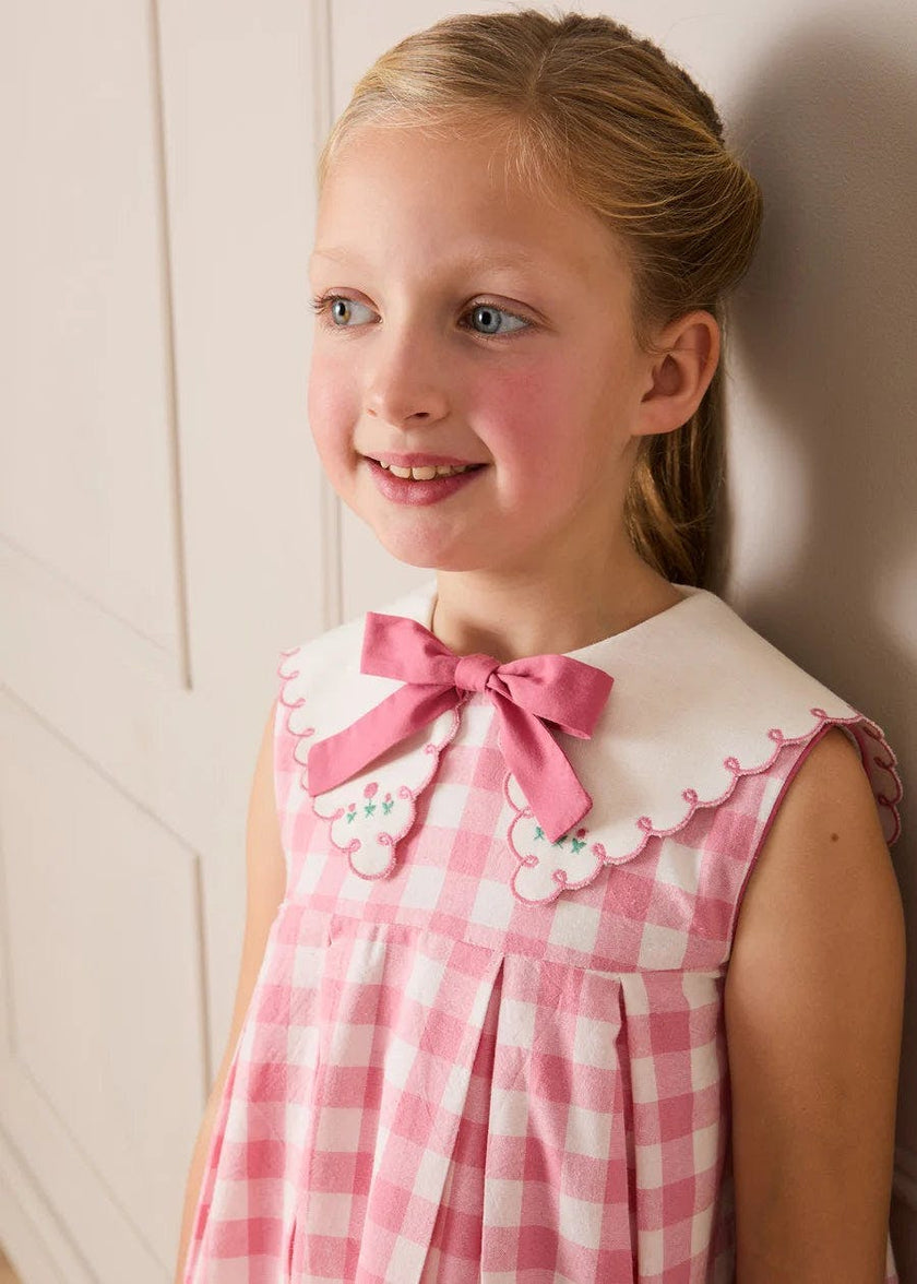 Catherine Gingham Embroidered Sleeveless Trapeze Dress in Pink (12mths- 10yrs)