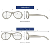 Original Aviator: Smoke Lens