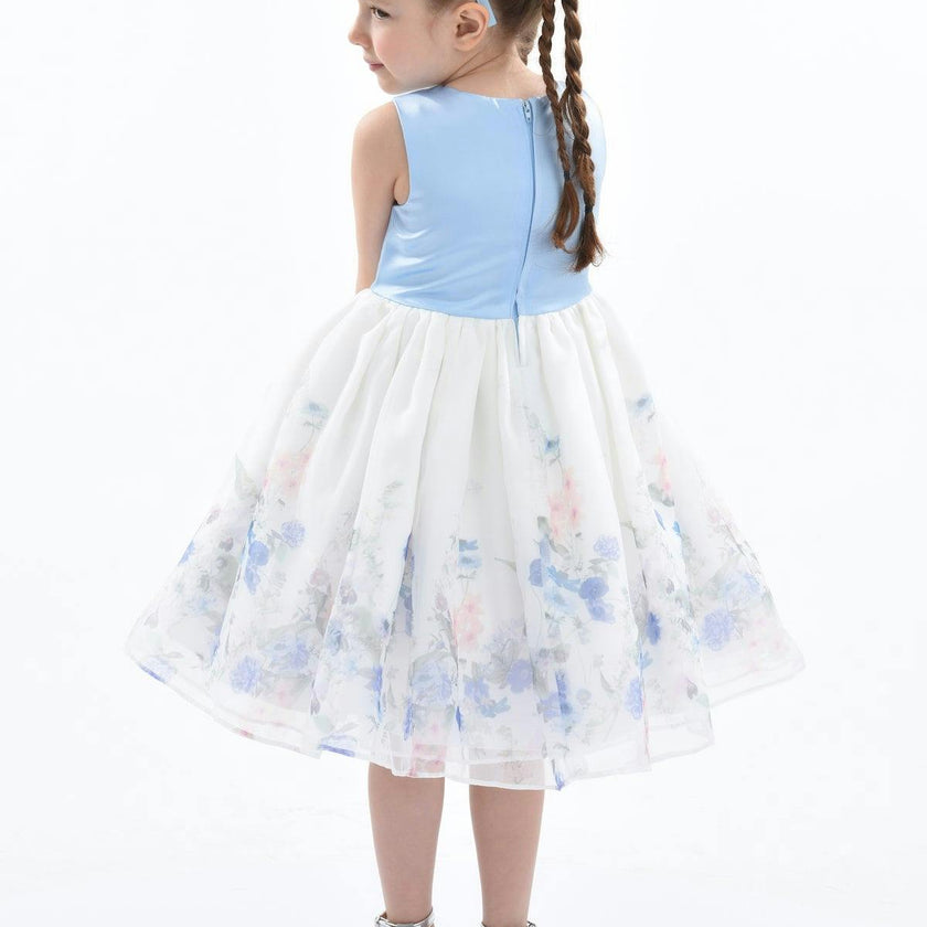Blue Mabel Floral Garden Organza Dress