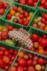 BROWN GINGHAM TOMATO CHARM CLAW
