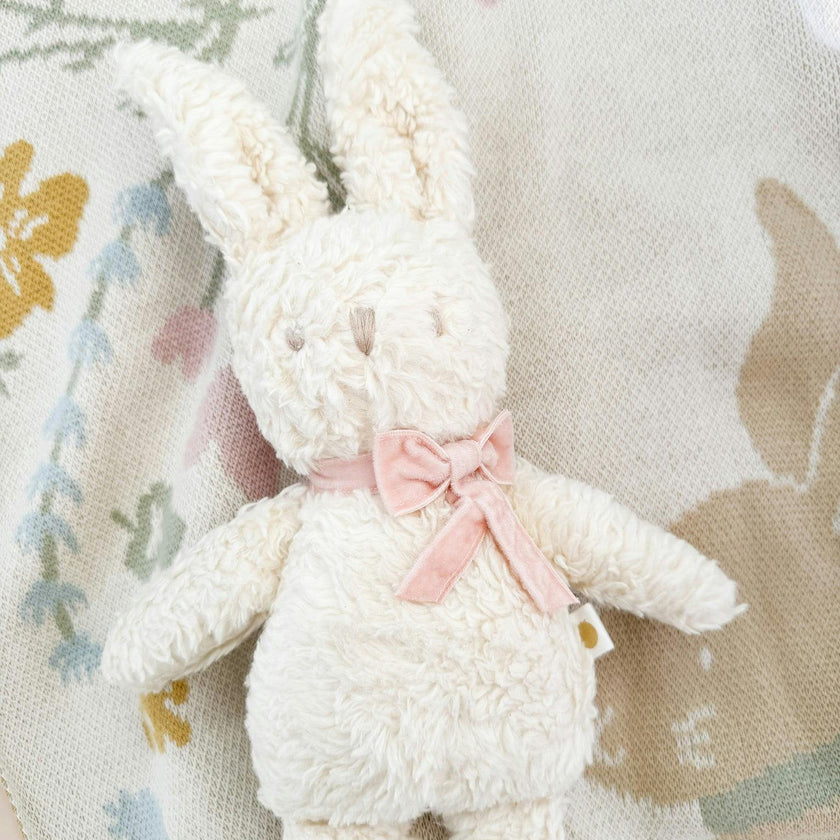 Pastel Bunny Blanket and Plush Toy Blush Gift Set