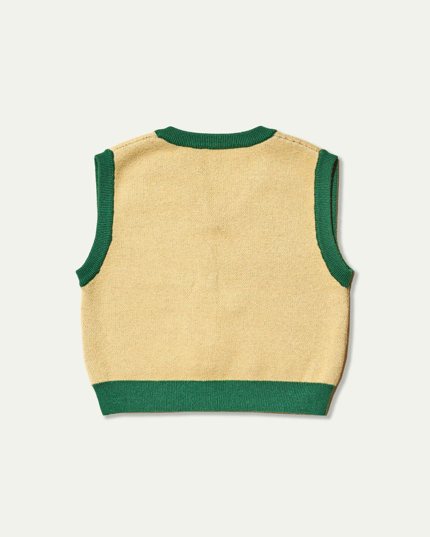The Wild Wild Vest