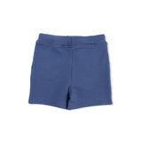Navy Stripe - Polo with Everyday Short