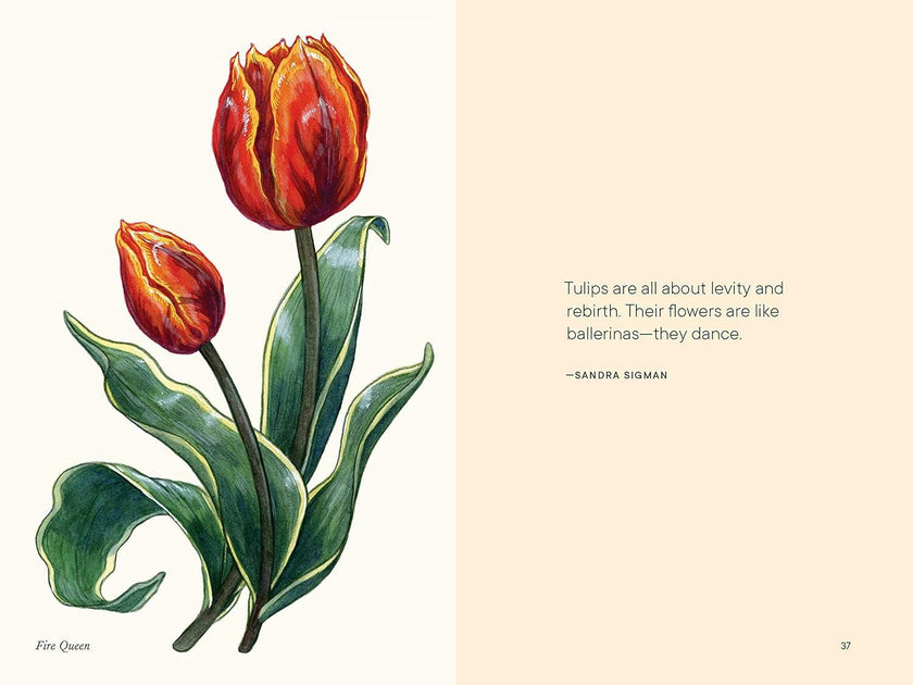 Little Book of Tulips